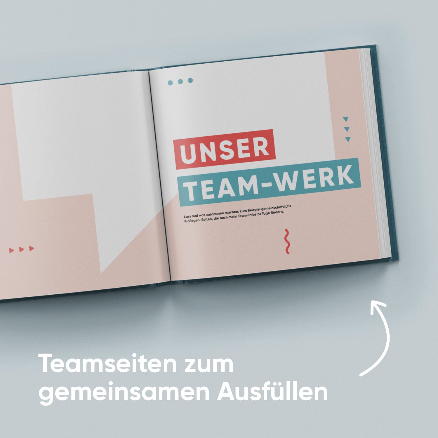 Frollegenbuch Büro-Edition