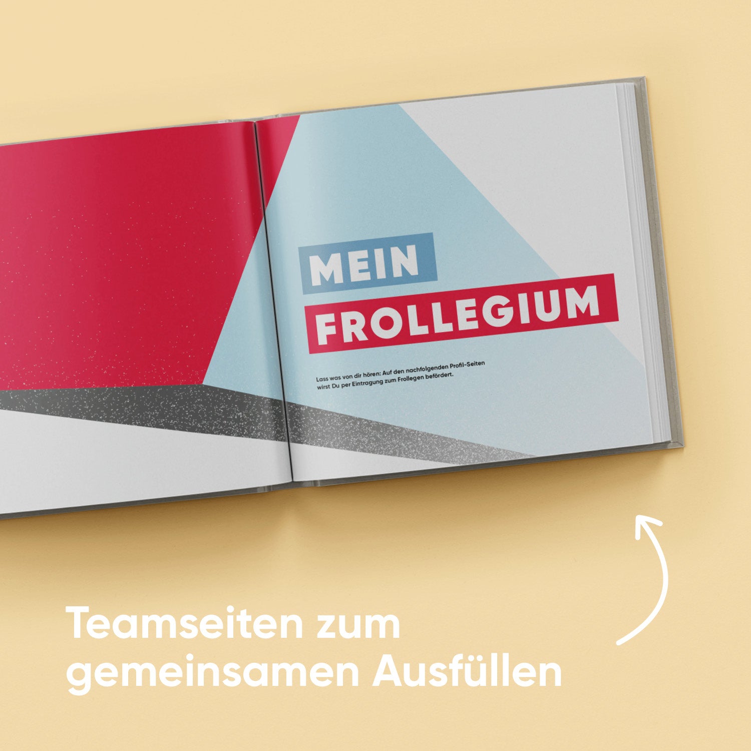 Frollegenbuch Lehrer/in-Edition